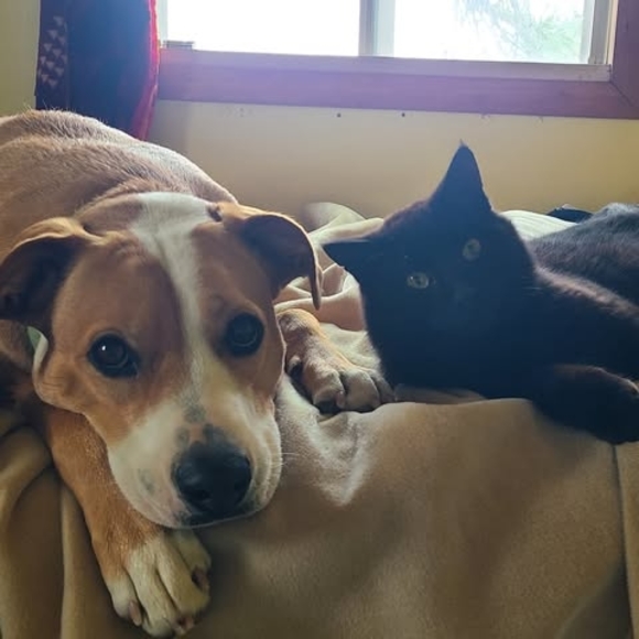 Meet your Posher, Tee - Picture 1 of 1